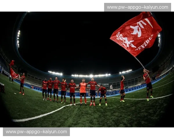 江苏苏宁,昔日荣光与申鑫的回响:一场关于足球与记忆的对话